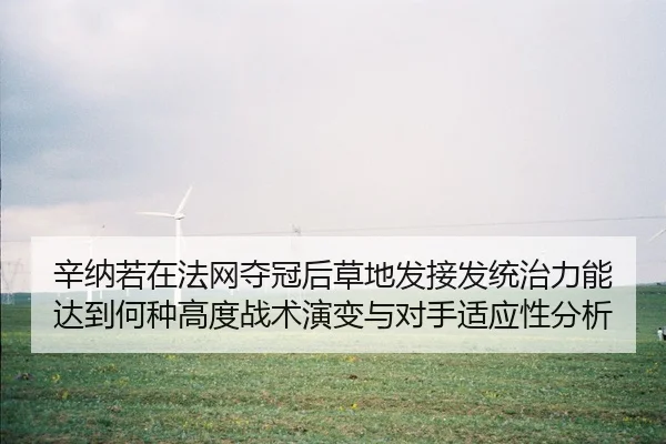 辛纳若在法网夺冠后草地发接发统治力能达到何种高度战术演变与对手适应性分析